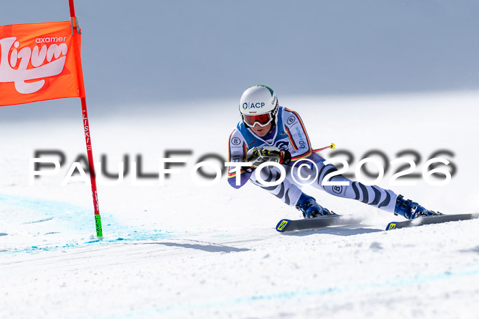 NC + NJC DH ,Frauen + Männer Axamer Lizum 25.03.2026