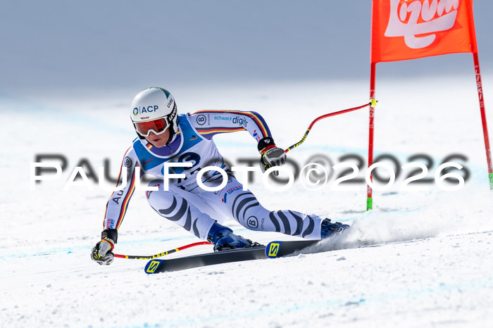 NC + NJC DH ,Frauen + Männer Axamer Lizum 25.03.2026