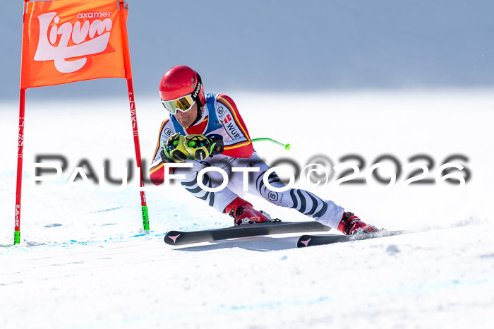 NC + NJC DH ,Frauen + Männer Axamer Lizum 25.03.2026