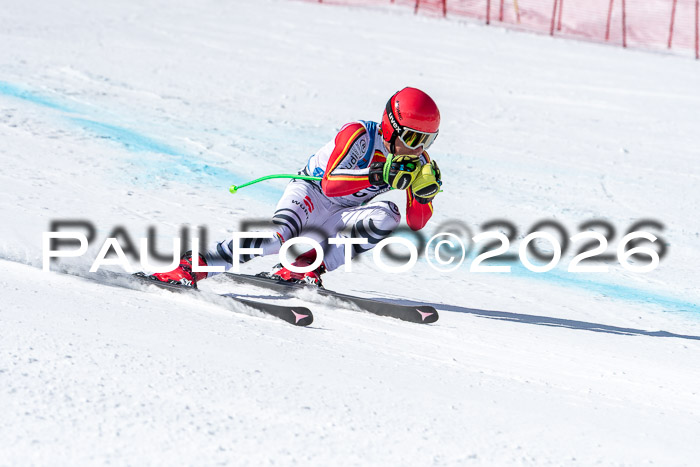 NC + NJC DH ,Frauen + Männer Axamer Lizum 25.03.2026