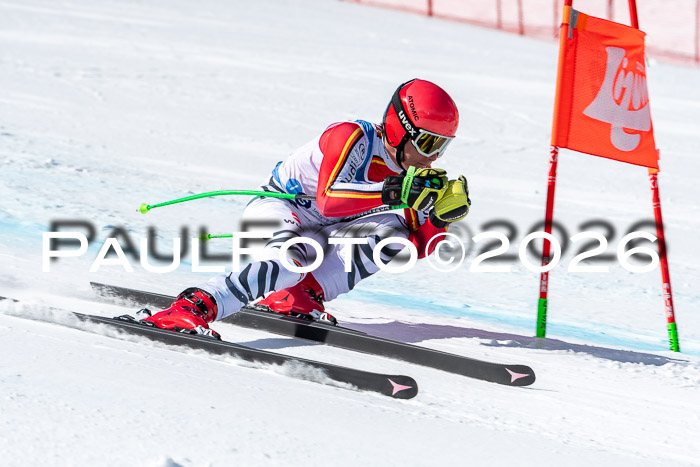 NC + NJC DH ,Frauen + Männer Axamer Lizum 25.03.2026