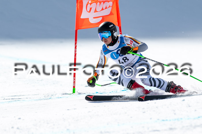 NC + NJC DH ,Frauen + Männer Axamer Lizum 25.03.2026