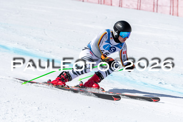 NC + NJC DH ,Frauen + Männer Axamer Lizum 25.03.2026