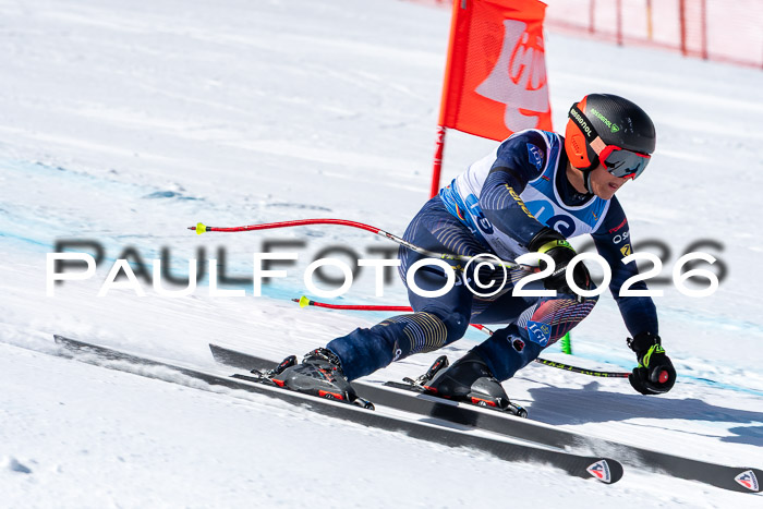 NC + NJC DH ,Frauen + Männer Axamer Lizum 25.03.2026