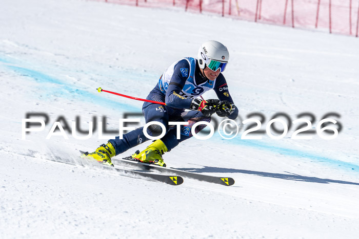 NC + NJC DH ,Frauen + Männer Axamer Lizum 25.03.2026