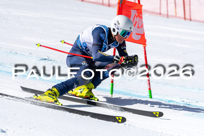 NC + NJC DH ,Frauen + Männer Axamer Lizum 25.03.2026