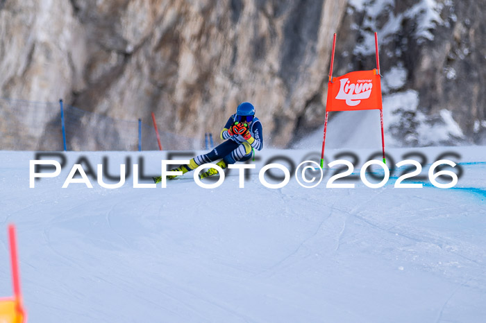 NC + NJC DH ,Frauen + Männer Axamer Lizum 25.03.2026