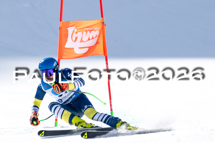 NC + NJC DH ,Frauen + Männer Axamer Lizum 25.03.2026