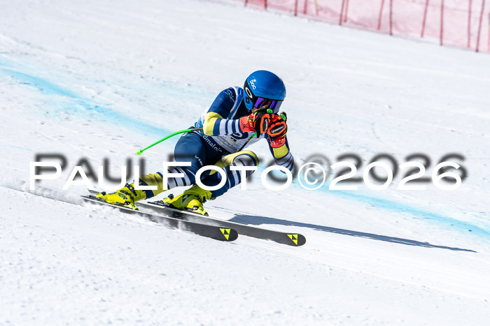 NC + NJC DH ,Frauen + Männer Axamer Lizum 25.03.2026