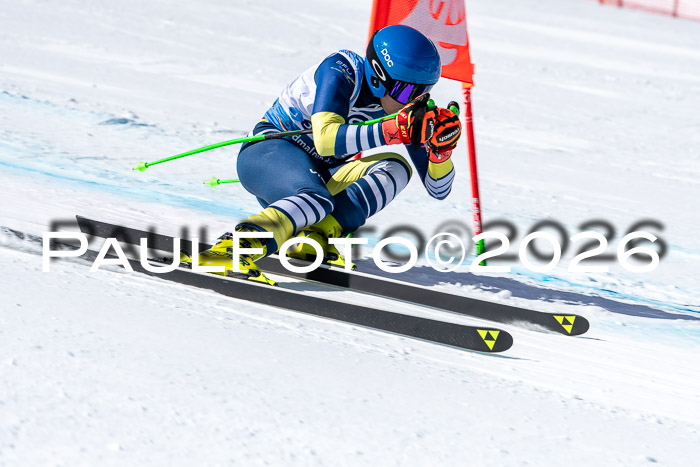 NC + NJC DH ,Frauen + Männer Axamer Lizum 25.03.2026