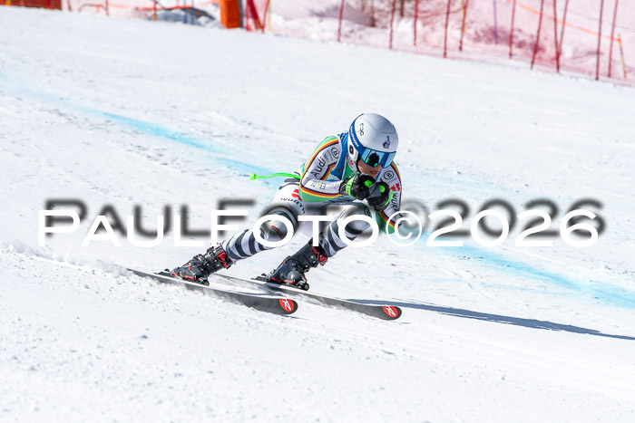 NC + NJC DH ,Frauen + Männer Axamer Lizum 25.03.2026