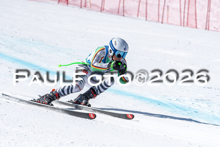 NC + NJC DH ,Frauen + Männer Axamer Lizum 25.03.2026