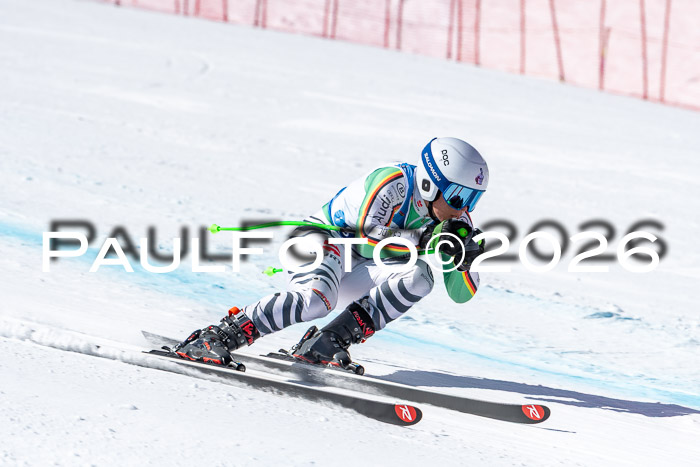 NC + NJC DH ,Frauen + Männer Axamer Lizum 25.03.2026