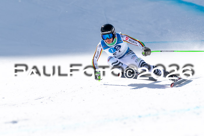 NC + NJC DH ,Frauen + Männer Axamer Lizum 25.03.2026