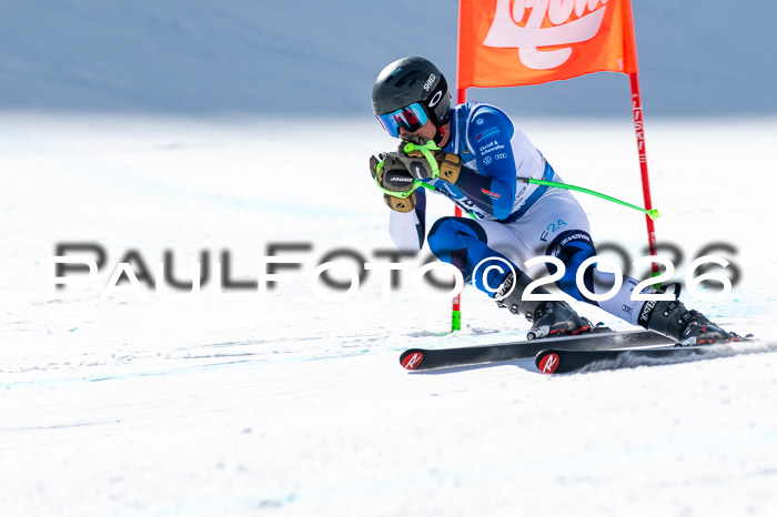 NC + NJC DH ,Frauen + Männer Axamer Lizum 25.03.2026