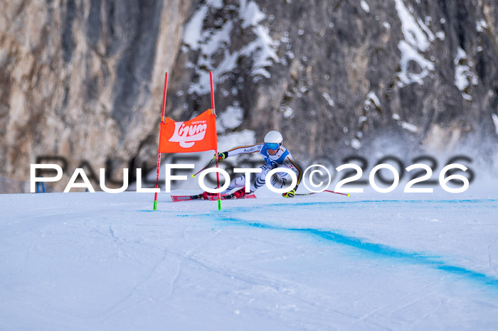 NC + NJC DH ,Frauen + Männer Axamer Lizum 25.03.2026