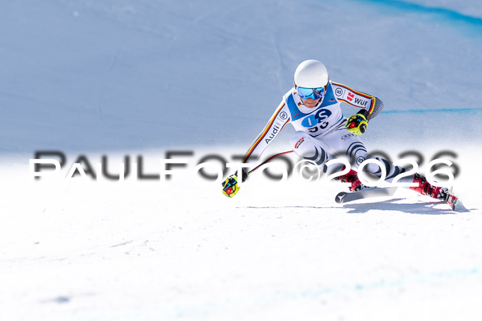 NC + NJC DH ,Frauen + Männer Axamer Lizum 25.03.2026