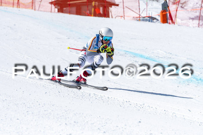 NC + NJC DH ,Frauen + Männer Axamer Lizum 25.03.2026