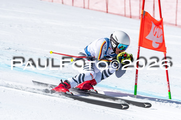 NC + NJC DH ,Frauen + Männer Axamer Lizum 25.03.2026