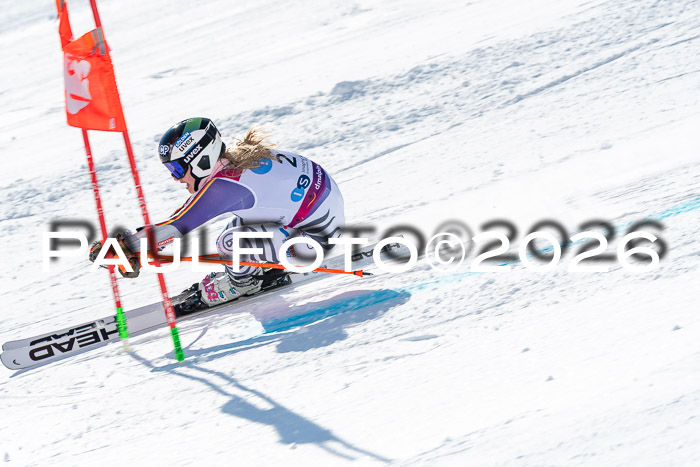 NC RS ,Frauen + Männer Axamer Lizum 28.03.2026