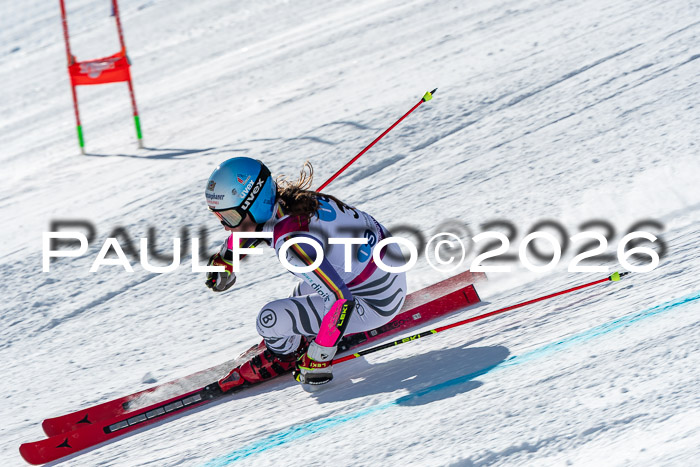 NC RS ,Frauen + Männer Axamer Lizum 28.03.2026