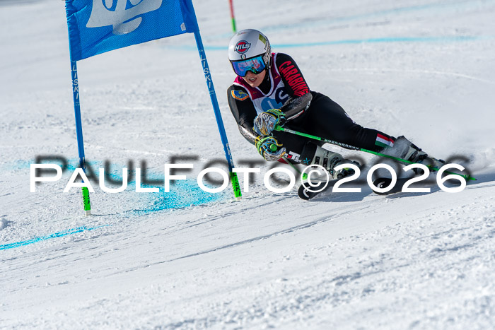 NC RS ,Frauen + Männer Axamer Lizum 28.03.2026