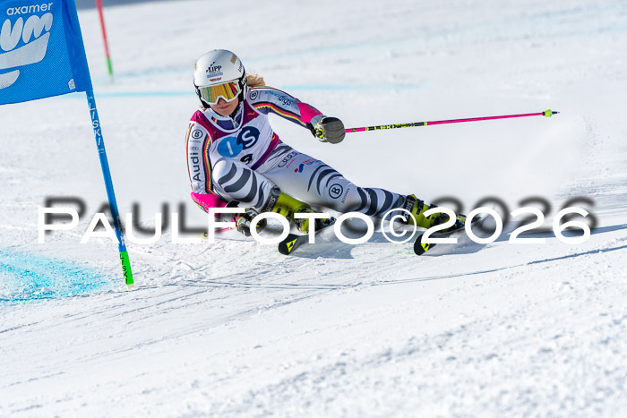 NC RS ,Frauen + Männer Axamer Lizum 28.03.2026