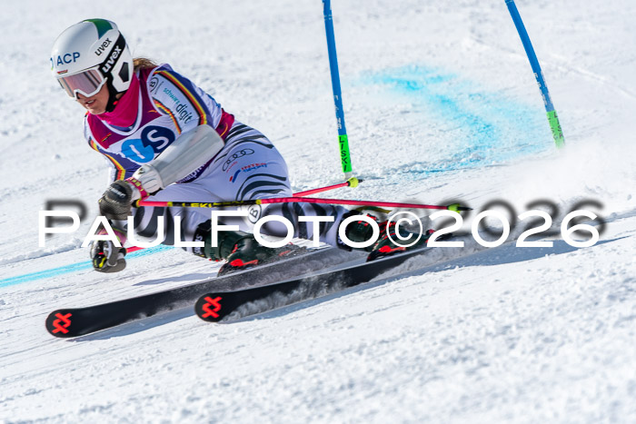 NC RS ,Frauen + Männer Axamer Lizum 28.03.2026