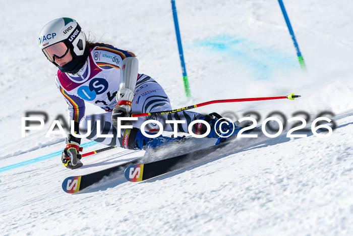 NC RS ,Frauen + Männer Axamer Lizum 28.03.2026