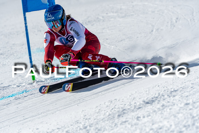 NC RS ,Frauen + Männer Axamer Lizum 28.03.2026