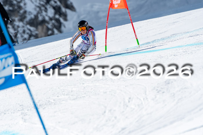 NC RS ,Frauen + Männer Axamer Lizum 28.03.2026