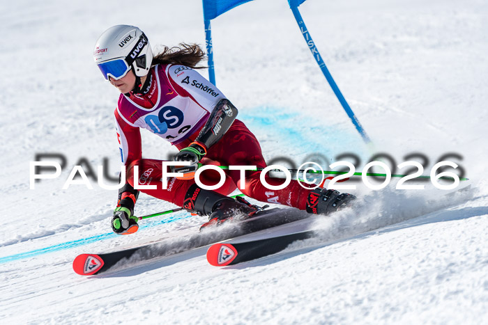 NC RS ,Frauen + Männer Axamer Lizum 28.03.2026