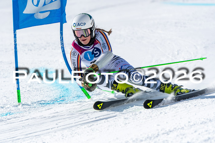 NC RS ,Frauen + Männer Axamer Lizum 28.03.2026