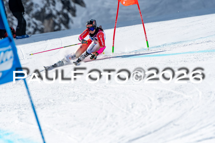 NC RS ,Frauen + Männer Axamer Lizum 28.03.2026