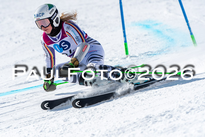 NC RS ,Frauen + Männer Axamer Lizum 28.03.2026