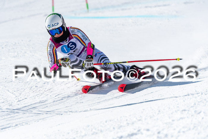 NC RS ,Frauen + Männer Axamer Lizum 28.03.2026