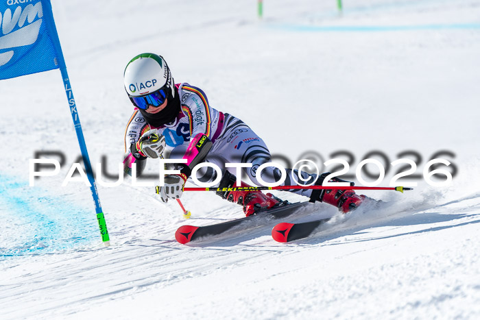 NC RS ,Frauen + Männer Axamer Lizum 28.03.2026