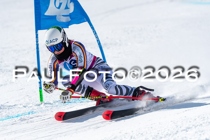 NC RS ,Frauen + Männer Axamer Lizum 28.03.2026