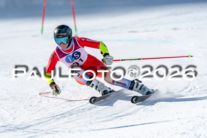 NC RS ,Frauen + Männer Axamer Lizum 28.03.2026