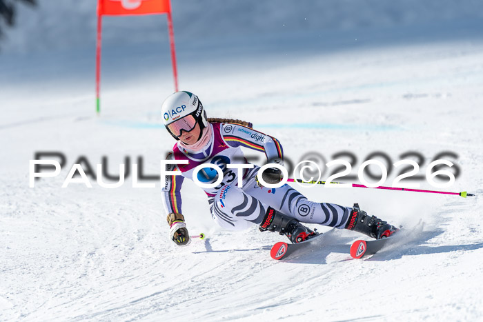 NC RS ,Frauen + Männer Axamer Lizum 28.03.2026