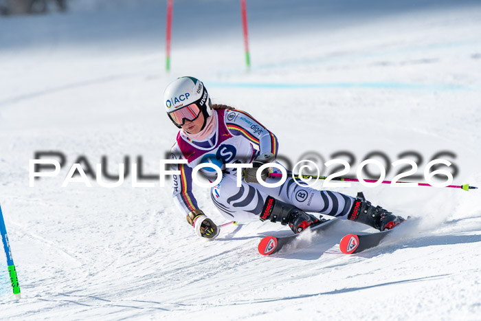 NC RS ,Frauen + Männer Axamer Lizum 28.03.2026