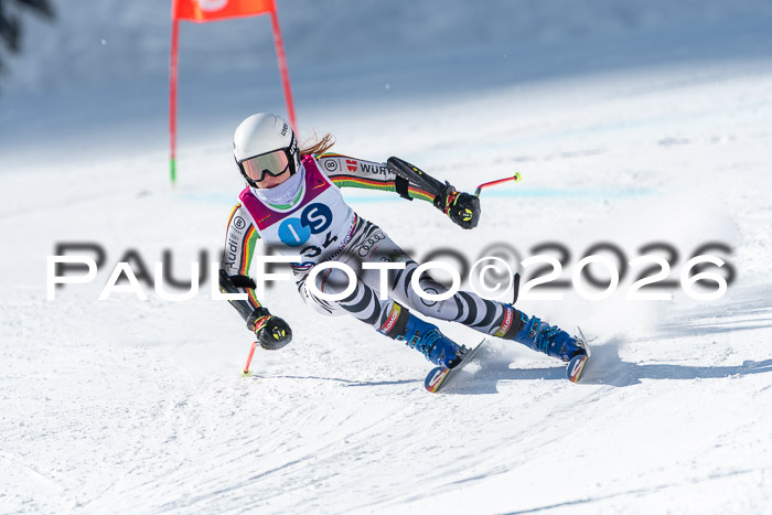 NC RS ,Frauen + Männer Axamer Lizum 28.03.2026