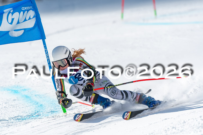 NC RS ,Frauen + Männer Axamer Lizum 28.03.2026