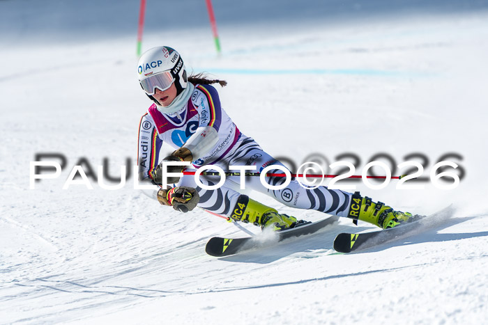 NC RS ,Frauen + Männer Axamer Lizum 28.03.2026