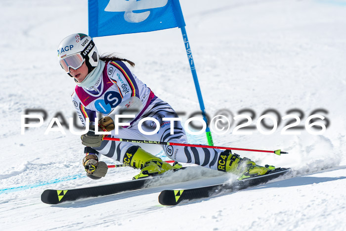 NC RS ,Frauen + Männer Axamer Lizum 28.03.2026