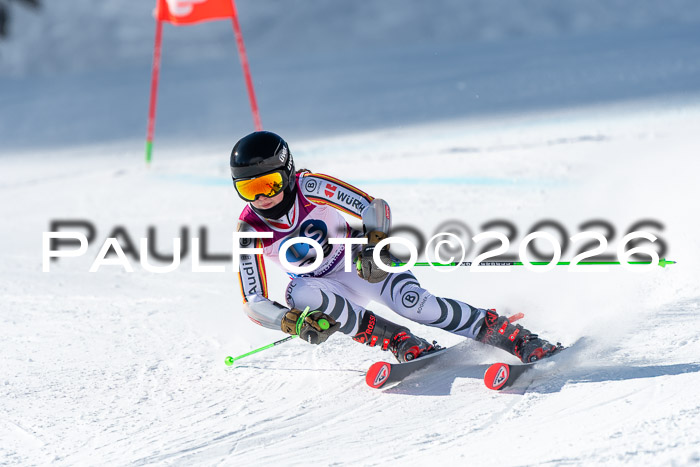 NC RS ,Frauen + Männer Axamer Lizum 28.03.2026