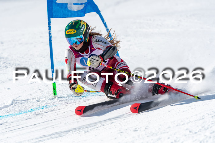 NC RS ,Frauen + Männer Axamer Lizum 28.03.2026