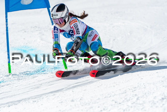 NC RS ,Frauen + Männer Axamer Lizum 28.03.2026