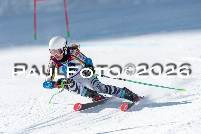 NC RS ,Frauen + Männer Axamer Lizum 28.03.2026