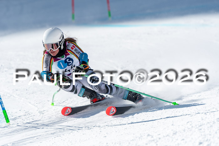 NC RS ,Frauen + Männer Axamer Lizum 28.03.2026